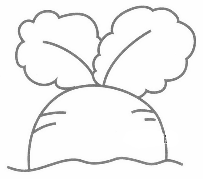 萝卜简笔画