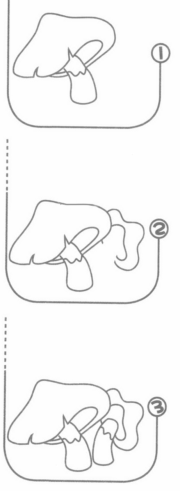 蘑菇简笔画