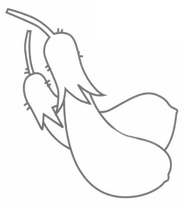 茄子简笔画