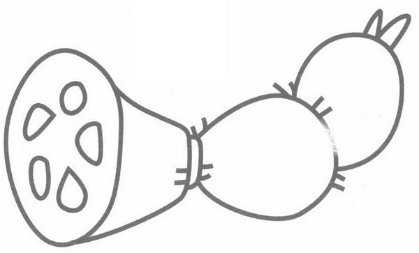 藕简笔画