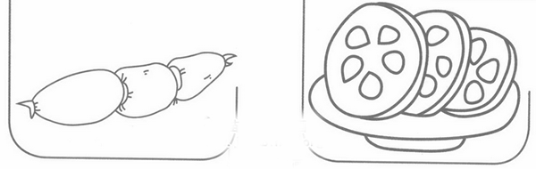 藕简笔画