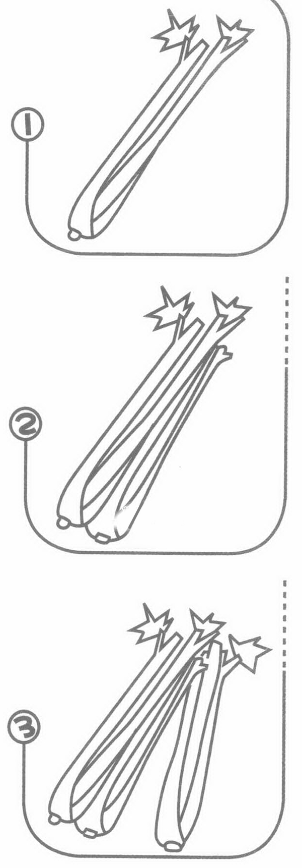 芹菜简笔画