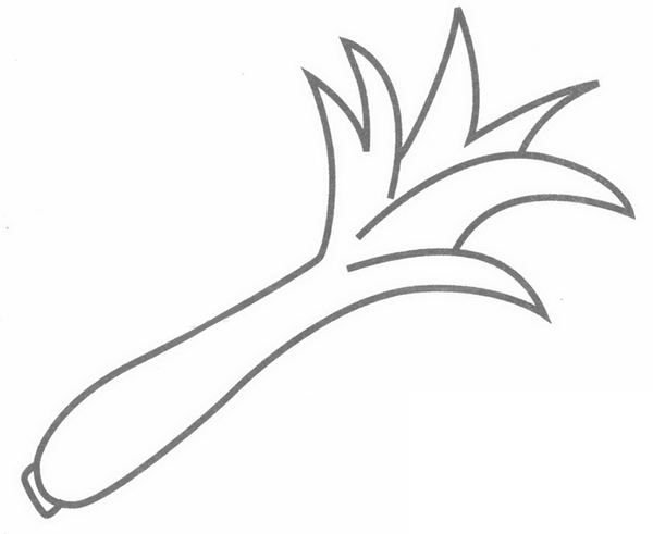 莴笋简笔画