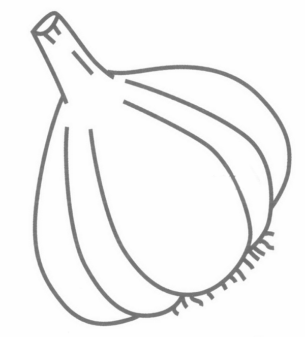 大蒜头简笔画