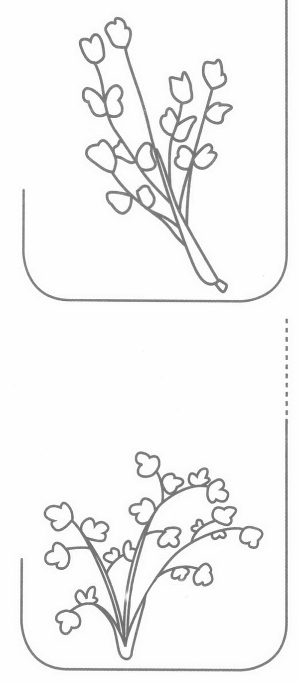 香菜简笔画