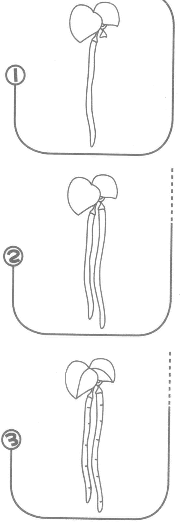 长豆角简笔画