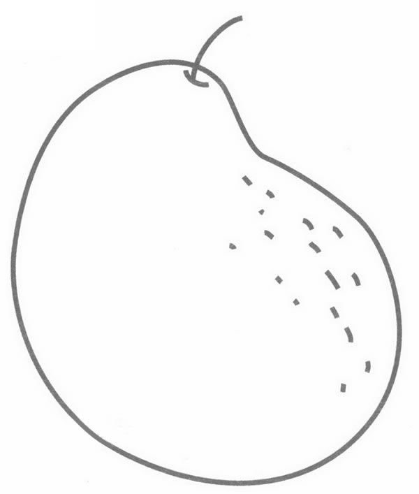 梨简笔画