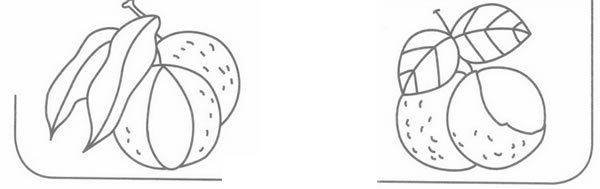 荔枝简笔画