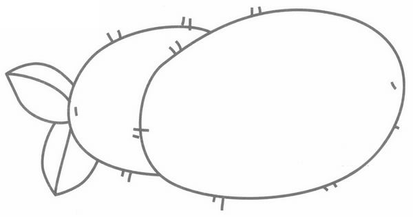 猕猴桃简笔画