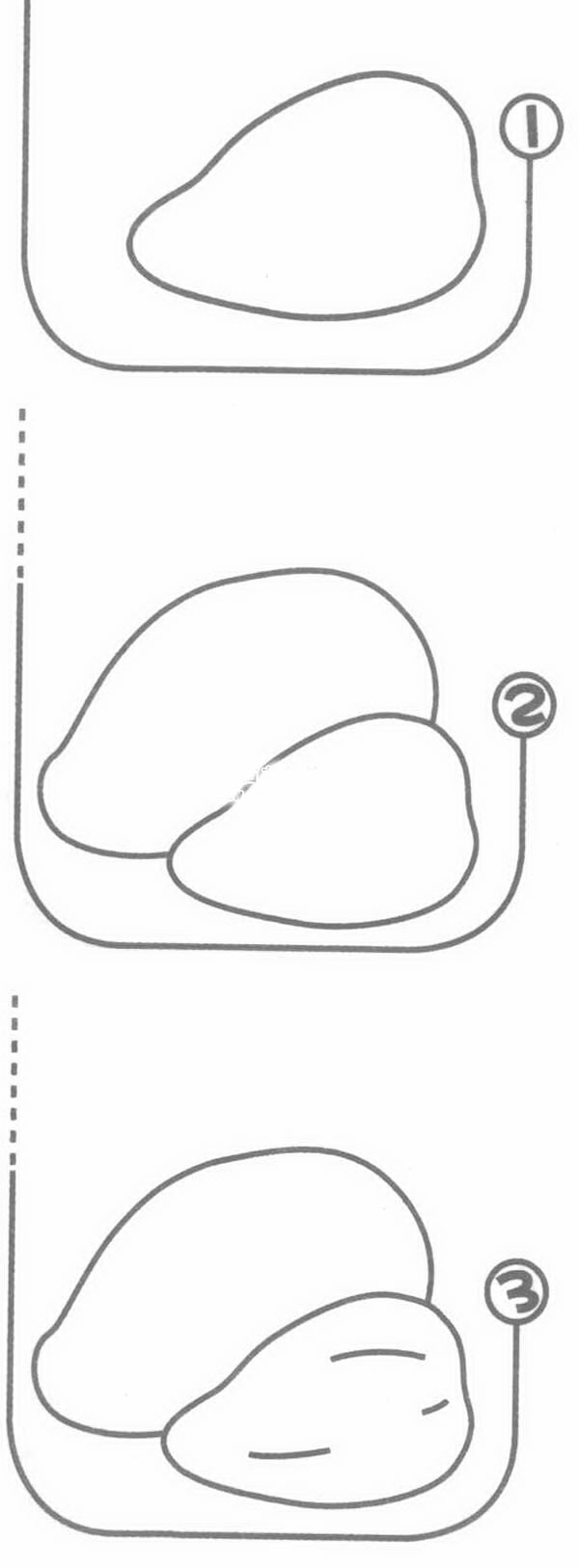 芒果简笔画