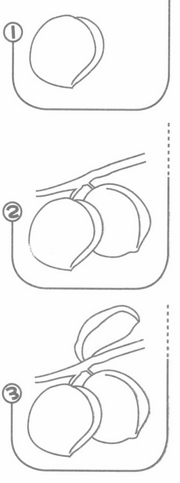 青梅简笔画