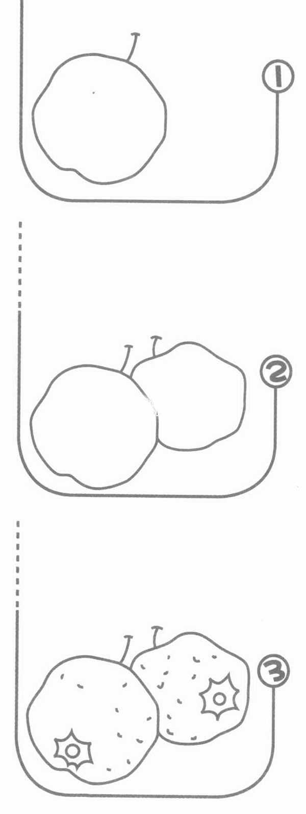 山楂简笔画