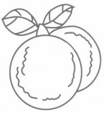 杨梅简笔画图片