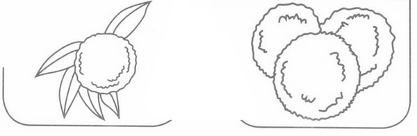 杨梅简笔画