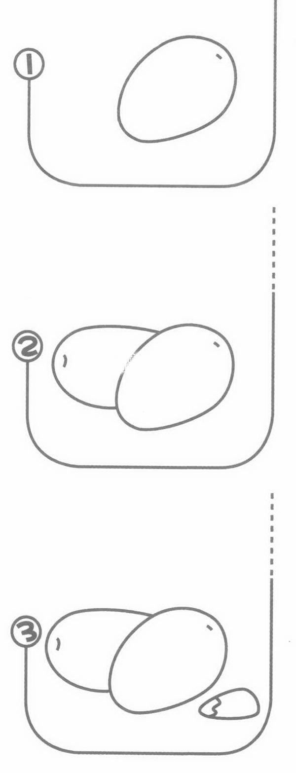红枣简笔画