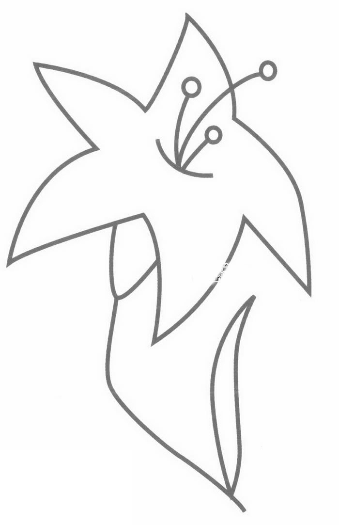 百合花简笔画