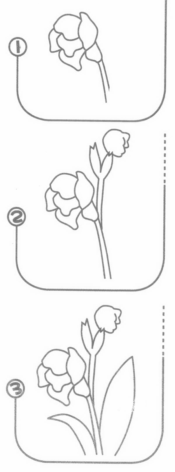 菖蒲简笔画