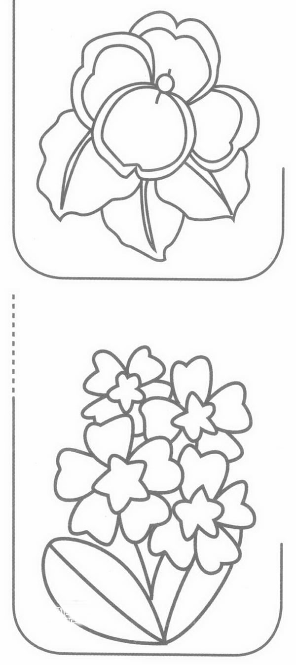 报春花简笔画