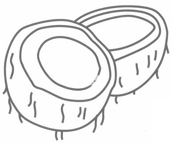 椰子简笔画