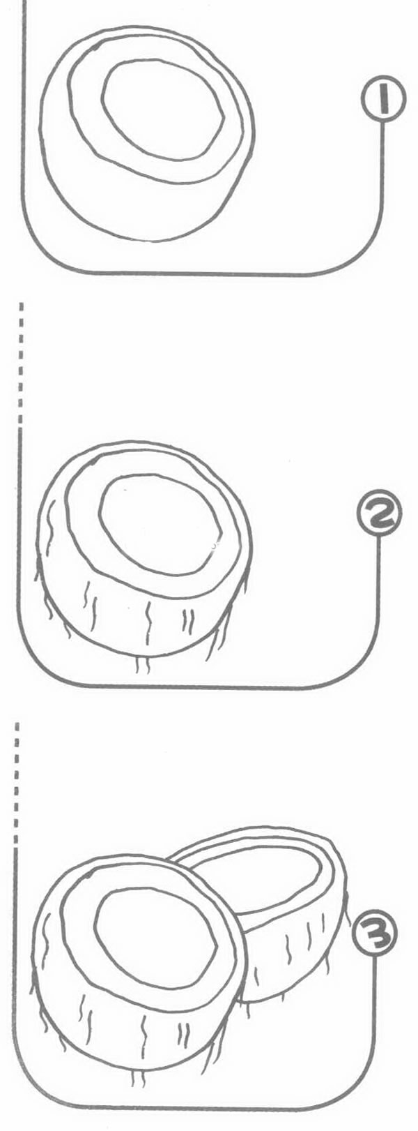 椰子简笔画