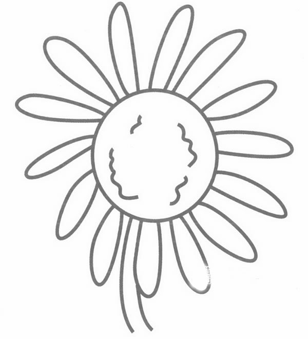 雏菊简笔画