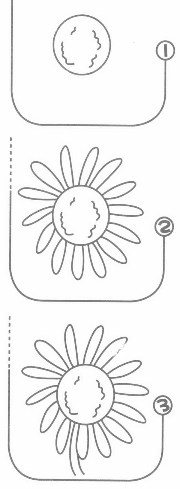 雏菊简笔画