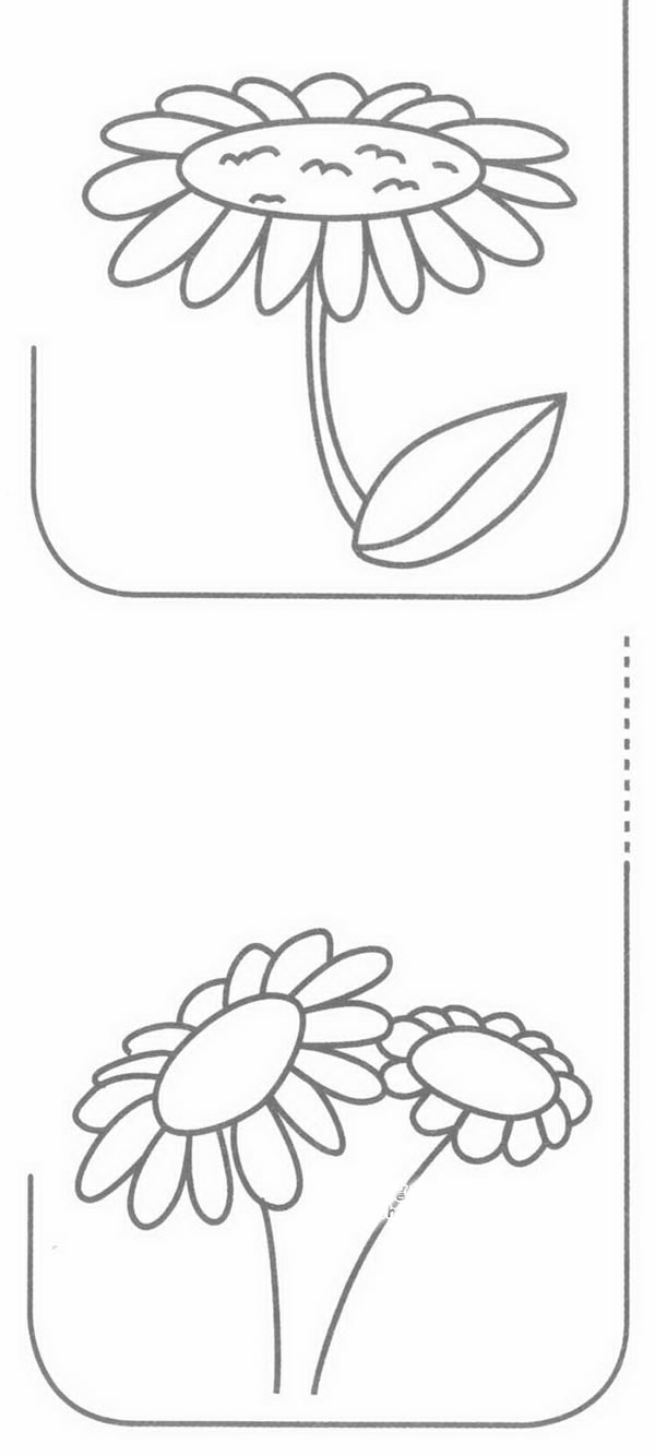 雏菊简笔画