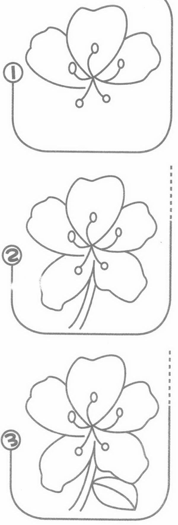 杜鹃花简笔画