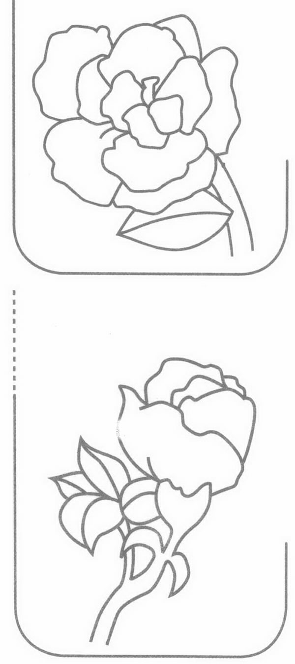 杜鹃花简笔画