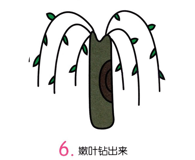 彩色柳树简笔画画法图片