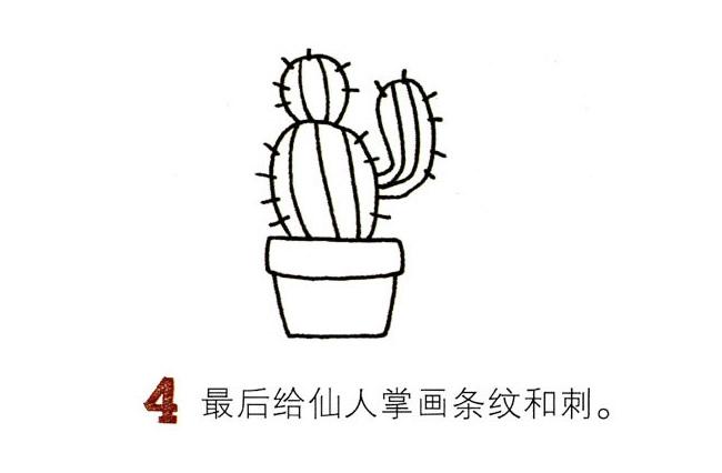 彩色仙人掌简笔画图片