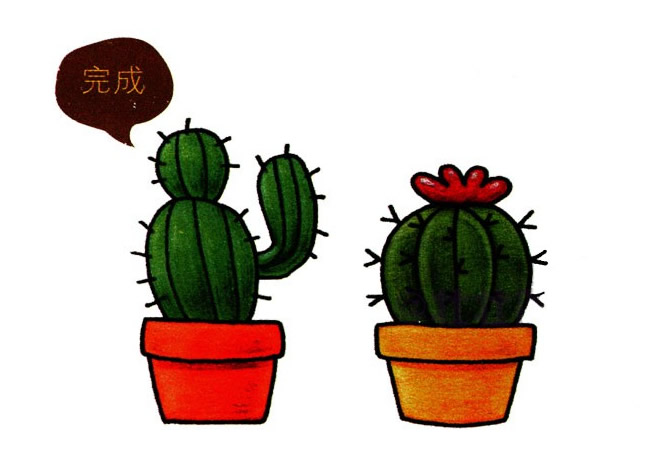 彩色仙人掌简笔画图片