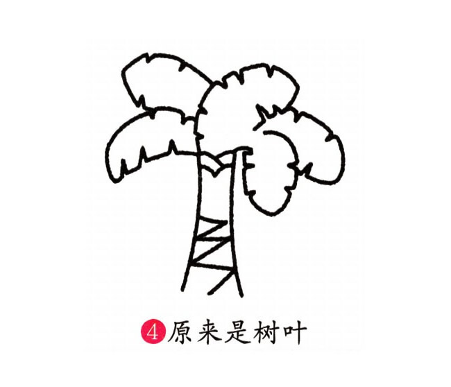 芭蕉树简笔画彩色图片