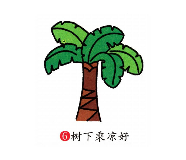 芭蕉树简笔画彩色图片