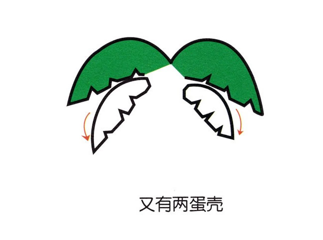彩色椰子树简笔画图片