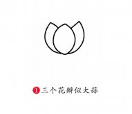 彩色荷花简笔画图片