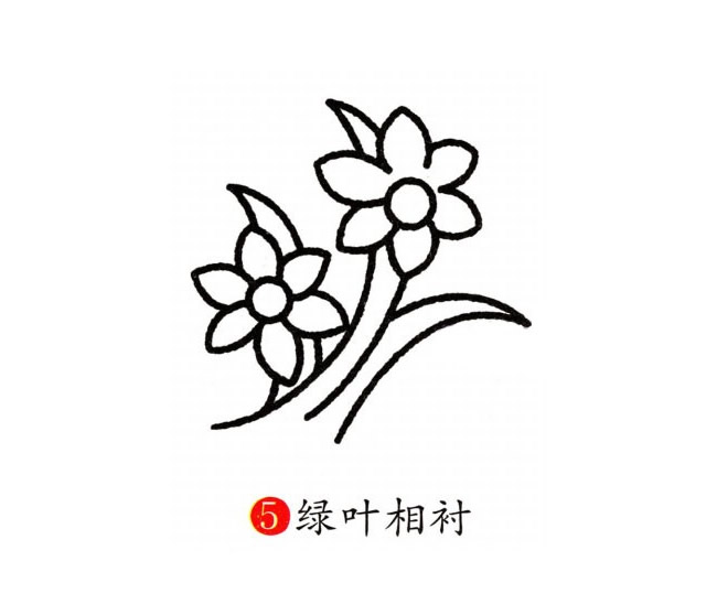 兰花简笔画彩色图片