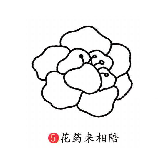 牡丹花简笔画图片