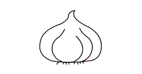 幼儿园大蒜简笔画图片大全