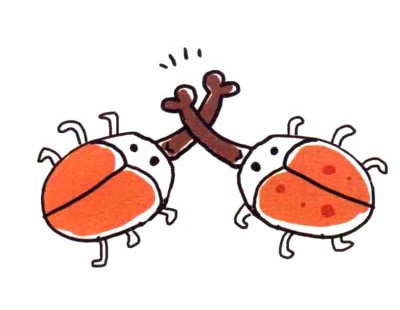 象鼻虫简笔画四步画出 象鼻虫简笔画图片