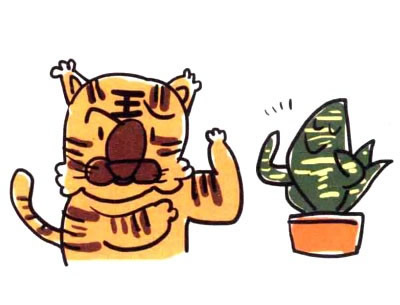 虎皮兰简笔画图片