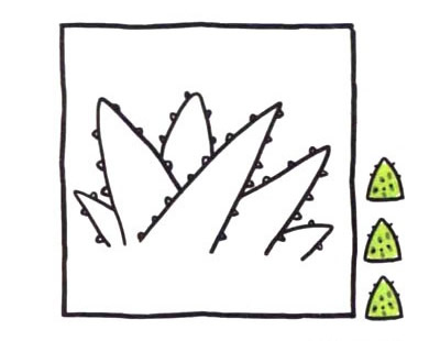芦荟简笔画图片大全