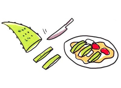 芦荟简笔画图片大全
