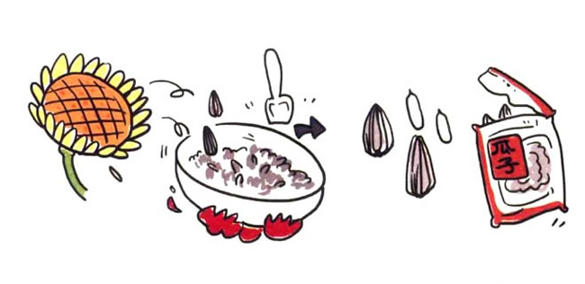 向日葵简笔画图片大全