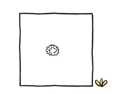 菊花简笔画图片大全
