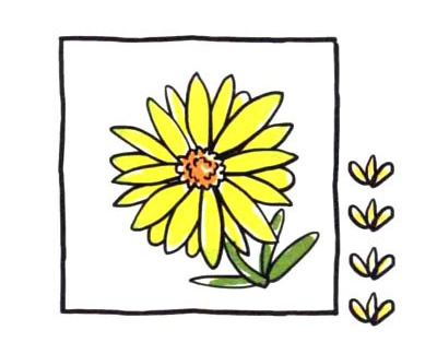 菊花简笔画图片大全