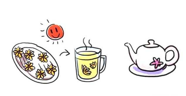 菊花简笔画图片大全