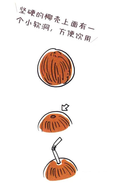 四步画出椰子树简笔画图片 彩色椰子树简笔画图片大全