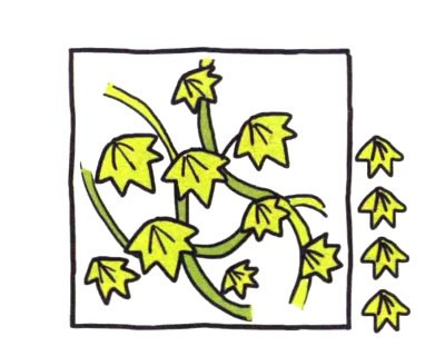 四步画出爬山虎简笔画图片 儿童画爬山虎简笔画彩色图片大全