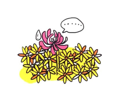 四步画出菊花简笔画图片